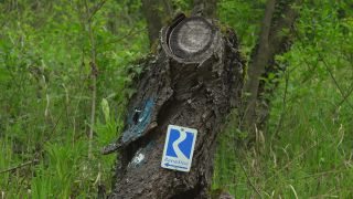 Link to Video | Rhineland-Palatinate, signage, Tourist sign, Germany, hiking trail, signpost, Rheinsteig, Braubach, Rhine