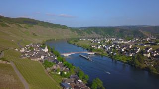 Link to Video | landscape, Rhineland-Palatinate, Moselle, Germany, vineyard, viticulture, Piesport, tourism region, Piesport, tourism destination, Mosel-Saar-Ruwer