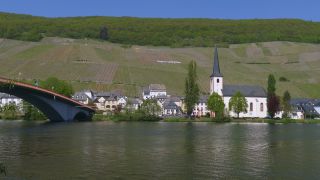 Link to Video | landscape, Rhineland-Palatinate, Moselle, Germany, vineyard, viticulture, Piesport, tourism region, Piesport, tourism destination, Mosel-Saar-Ruwer