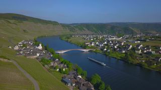 Link to Video | landscape, Rhineland-Palatinate, Moselle, Germany, vineyard, viticulture, Piesport, tourism region, Piesport, tourism destination, Mosel-Saar-Ruwer