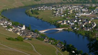 Link to Video | landscape, Rhineland-Palatinate, Moselle, Germany, vineyard, viticulture, Piesport, tourism region, Piesport, tourism destination, Mosel-Saar-Ruwer