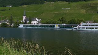 Link to Video | landscape, Rhineland-Palatinate, Moselle, Germany, vineyard, viticulture, Piesport, tourism region, Piesport, tourism destination, Mosel-Saar-Ruwer