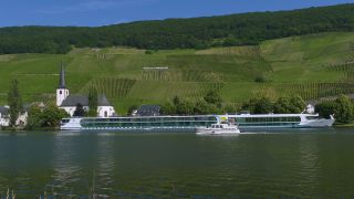 Link to Video | landscape, Rhineland-Palatinate, Moselle, Germany, vineyard, viticulture, Piesport, tourism region, Piesport, tourism destination, Mosel-Saar-Ruwer