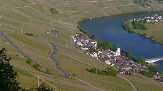 Link zum Video | Landschaft, Rheinland-Pfalz, Mosel, Deutschland, Weinberg, Weinbau, Piesport, Urlaubsregion, Piesport, Tourismusregion, Mosel
