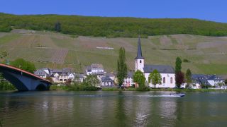 Link to Video | landscape, Rhineland-Palatinate, Moselle, Germany, vineyard, viticulture, Piesport, tourism region, Piesport, tourism destination, Mosel-Saar-Ruwer