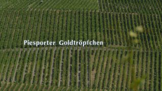 Link to Video | landscape, Rhineland-Palatinate, Moselle, Germany, vineyard, viticulture, Piesport, tourism region, Piesport, tourism destination, Mosel-Saar-Ruwer