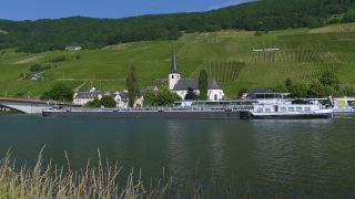 Link to Video | landscape, Rhineland-Palatinate, Moselle, Germany, vineyard, viticulture, Piesport, tourism region, Piesport, tourism destination, Mosel-Saar-Ruwer