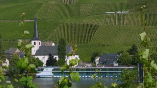 Link to Video | landscape, Rhineland-Palatinate, Moselle, Germany, vineyard, viticulture, Piesport, tourism region, Piesport, tourism destination, Mosel-Saar-Ruwer