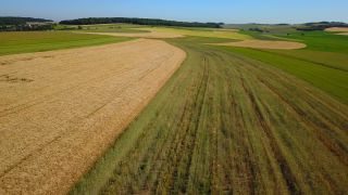 Link to Video | landscape, agriculture, bird's-eye view, field, aerial shot, Fisch, Saargau