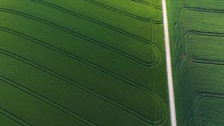 Link to Video | landscape, agriculture, bird's-eye view, field, aerial shot, Fisch, Saargau