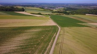 Link to Video | landscape, agriculture, bird's-eye view, field, aerial shot, Fisch, Saargau