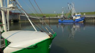 Link to Video | Lower Saxony, East Frisia, Germany, port, cutter, coast