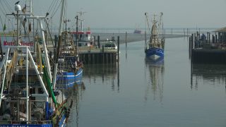 Link zum Video | Niedersachsen, Ostfriesland, Deutschland, Hafen, Kutter, Küste