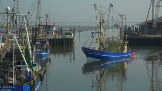 Link to Video | Lower Saxony, East Frisia, Germany, port, cutter, coast