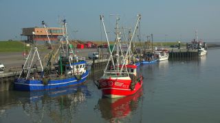 Link to Video | Lower Saxony, East Frisia, Germany, port, cutter, coast