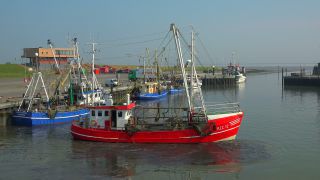 Link to Video | Lower Saxony, East Frisia, Germany, port, cutter, coast