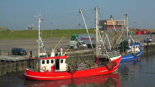 Link to Video | Lower Saxony, East Frisia, Germany, port, cutter, coast
