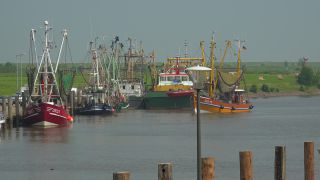 Link zum Video | Niedersachsen, Ostfriesland, Deutschland, Hafen, Kutter, Küste