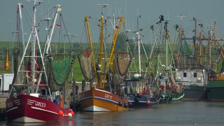 Link to Video | Lower Saxony, East Frisia, Germany, port, cutter, coast