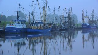 Link to Video | Lower Saxony, East Frisia, Germany, port, cutter, coast