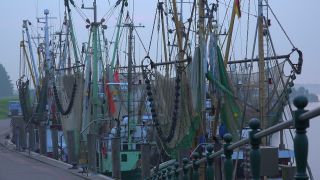 Link to Video | Lower Saxony, East Frisia, Germany, port, cutter, coast