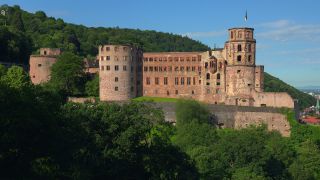 Link to Video | tourist destination, Neckar, castle, Heidelberg, Heidelberg Castle, tourist attraction, château, human-made geographic feature, architectural structure, point of interest, Untermerzbach castle ruins, Baden-Württemberg