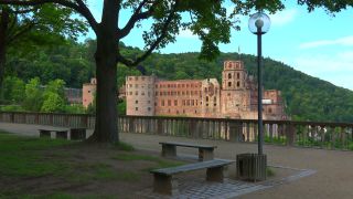Link to Video | tourist destination, Neckar, castle, Heidelberg, Heidelberg Castle, tourist attraction, château, human-made geographic feature, architectural structure, point of interest, Untermerzbach castle ruins, Baden-Württemberg