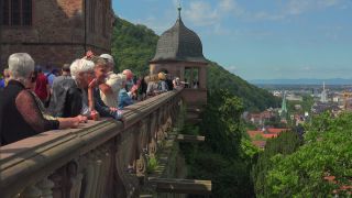 Link to Video | vacation, tourist destination, Neckar, leisure, castle, Heidelberg, Heidelberg Castle, tourist attraction, paid time off, château, human-made geographic feature, architectural structure, point of interest, Untermerzbach castle ruins, Baden-Württemberg
