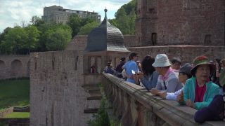 Link to Video | vacation, tourist destination, Neckar, leisure, castle, Heidelberg, Heidelberg Castle, tourist attraction, paid time off, château, human-made geographic feature, architectural structure, point of interest, Untermerzbach castle ruins, Baden-Württemberg
