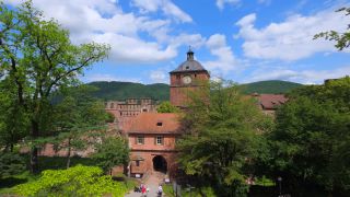 Link to Video | tourist destination, Neckar, castle, Heidelberg, Heidelberg Castle, tourist attraction, château, human-made geographic feature, architectural structure, point of interest, Untermerzbach castle ruins, Baden-Württemberg