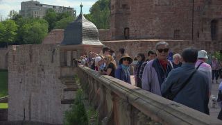 Link to Video | vacation, tourist destination, Neckar, leisure, castle, Heidelberg, Heidelberg Castle, tourist attraction, paid time off, château, human-made geographic feature, architectural structure, point of interest, Untermerzbach castle ruins, Baden-Württemberg