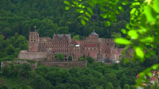 Link to Video | tourist destination, big city, Neckar, Germany, Heidelberg, city, tourist attraction, scenic viewpoint, Rhein-Neckar, Philosophenweg, Baden-Württemberg
