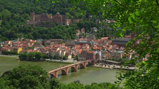 Link to Video | tourist destination, big city, Neckar, Germany, Heidelberg, city, tourist attraction, scenic viewpoint, Rhein-Neckar, Philosophenweg, Baden-Württemberg
