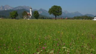 Link to Video | Ostallgäu, Swabia, landscape, tourist destination, Alps, Sankt Coloman in Schwangau, church building, Germany, Alpine foothills, religious building, Schwangau, tourism region, building, sacred architecture, tourist attraction, tourism destination, Allgäu Alps, Bavaria