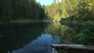 Link to Video | Upper Bavaria, landscape, Germany, vegetation, nature, Bavaria