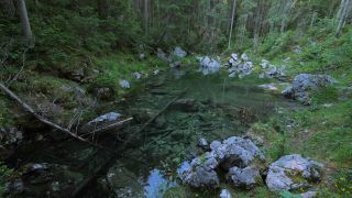 Link to Video | Upper Bavaria, landscape, Germany, vegetation, nature, Bavaria