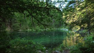 Link to Video | Upper Bavaria, landscape, Germany, vegetation, nature, Bavaria