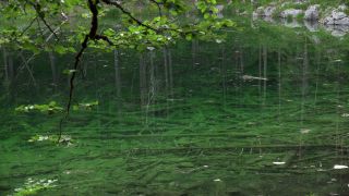 Link to Video | Upper Bavaria, landscape, Germany, vegetation, nature, Bavaria