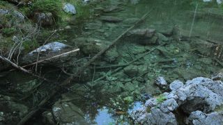 Link to Video | Upper Bavaria, landscape, Germany, vegetation, nature, Bavaria