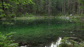 Link to Video | Upper Bavaria, landscape, Germany, vegetation, nature, Bavaria