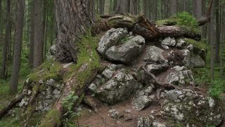 Link to Video | Upper Bavaria, landscape, Germany, vegetation, nature, Bavaria