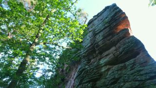 Link to Video | landscape, Rhineland-Palatinate, Sehenswürdigkeit, Germany, Pfalz, tourist attraction, Palatinate Forest, nature