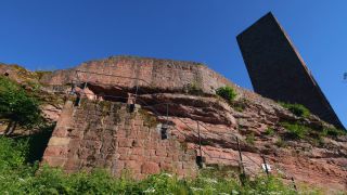 Link to Video | landscape, Rhineland-Palatinate, Sehenswürdigkeit, Germany, Pfalz, tourist attraction, Palatinate Forest, nature