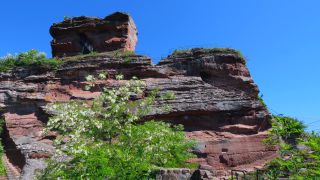 Link to Video | sandstone, castle ruin, Germany, Drachenfels Castle, Palatinate, forest, Busenberg, Palatinate Forest, Wasgau