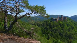 Link to Video | landscape, Rhineland-Palatinate, Sehenswürdigkeit, Germany, Pfalz, tourist attraction, Palatinate Forest, nature