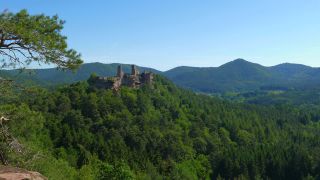 Link to Video | landscape, Rhineland-Palatinate, Sehenswürdigkeit, Germany, Pfalz, tourist attraction, Palatinate Forest, nature