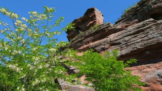 Link to Video | sandstone, castle ruin, Germany, Drachenfels Castle, Palatinate, forest, Busenberg, Palatinate Forest, Wasgau
