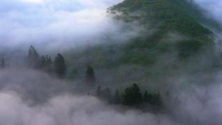 Link to Video | landscape, Saarland, Germany, vegetation, fog, forest, Saarschleife, nature