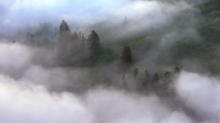 Link to Video | landscape, Saarland, Germany, vegetation, fog, forest, Saarschleife, nature