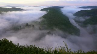 Link to Video | landscape, Saarland, Germany, vegetation, fog, forest, Saarschleife, nature